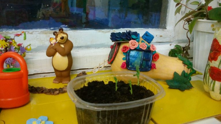 Огород на окне в детском саду. Оформление своими руками | Огород, Детский сад, Детская